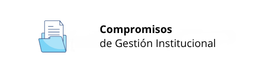 Gestion Institucional